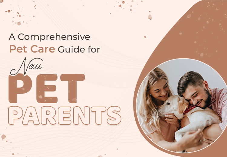 a-comprehensive-pet-care-guide-for-new-pet-parents